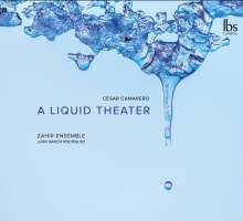 Camarero: A Liquid Theater