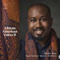 African American Voices II