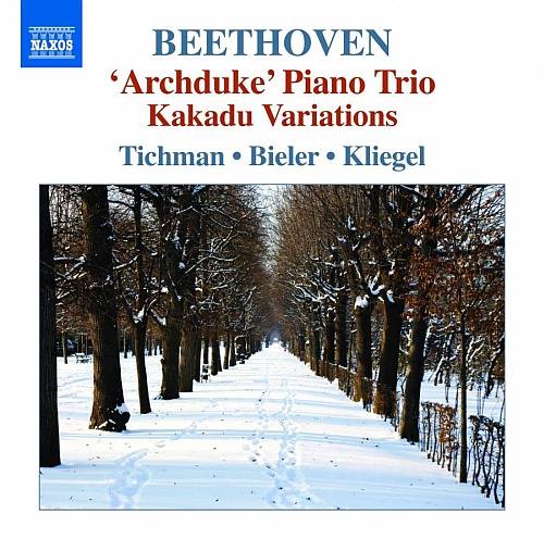 Beethoven: Piano Trios Vol. 5 - Archduke Piano Trio, Kakadu Variations
