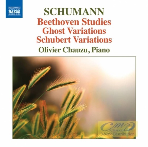 Schumann: Beethoven Studies Ghost Variations, Schubert Variations