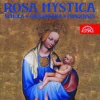 Rosa mystica - Devotion to the Virgin Mary in Medieval Bohemia