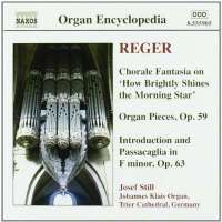 REGER: Organ Works, Vol. 4 - Chorale Fantasia on Wie schon leucht uns der Morgenstern; Organ Pieces