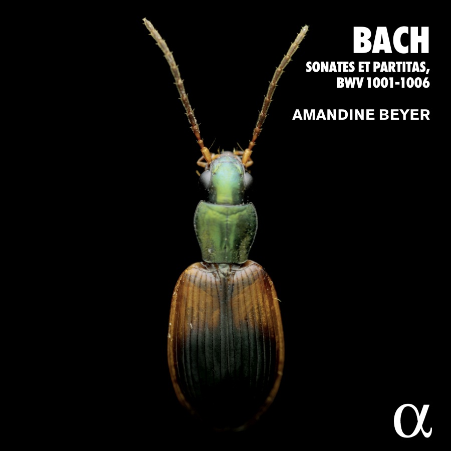 Bach: Sonates et partitas, BWV 1001-1006