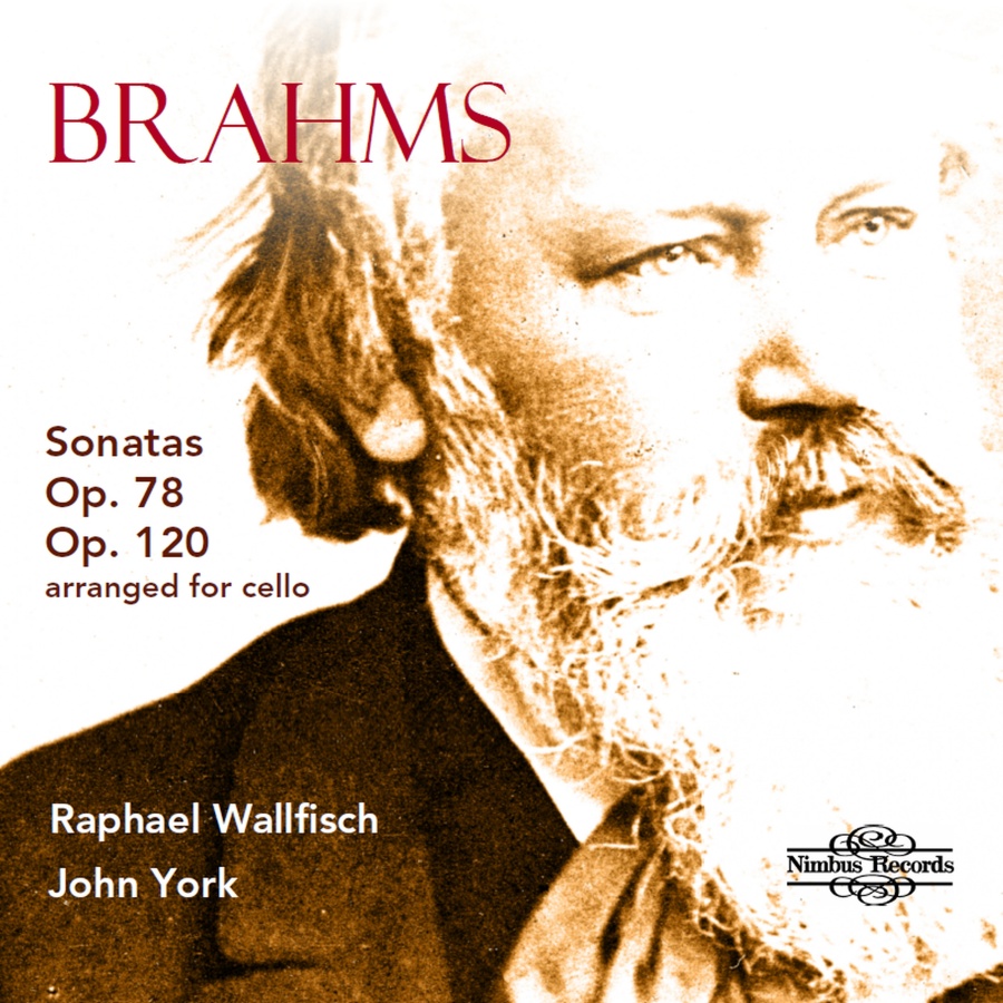 Brahms: Sonatas op. 78 & 120