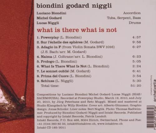 Biondini/Godard/Niggli: What Is There What Is Not - slide-1