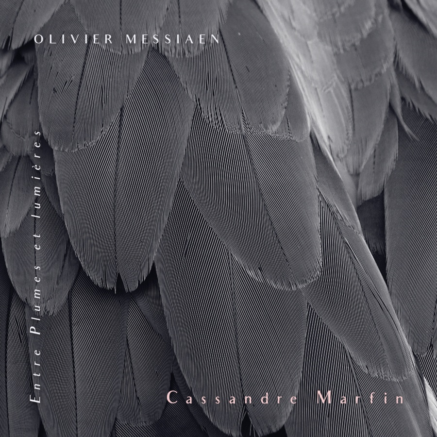 Messiaen: Entre plumes et lumières