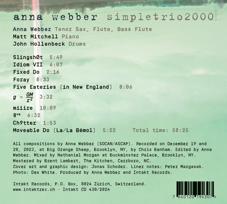 Webber: Simpletrio2000 - slide-1