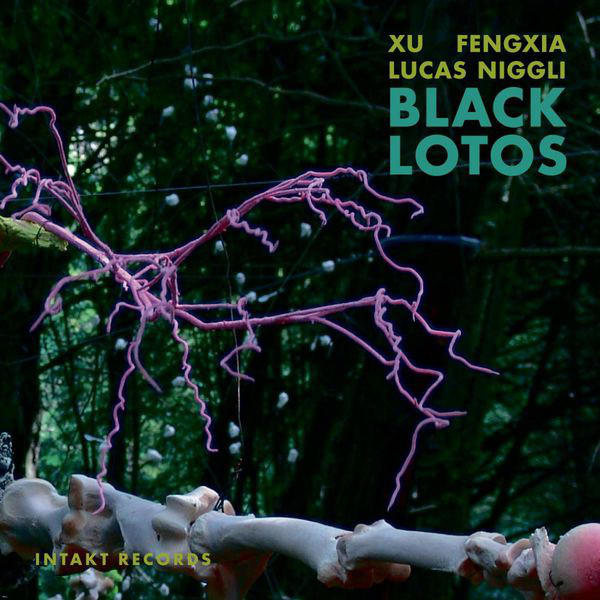 Niggli/Fengxia: Black Lotos