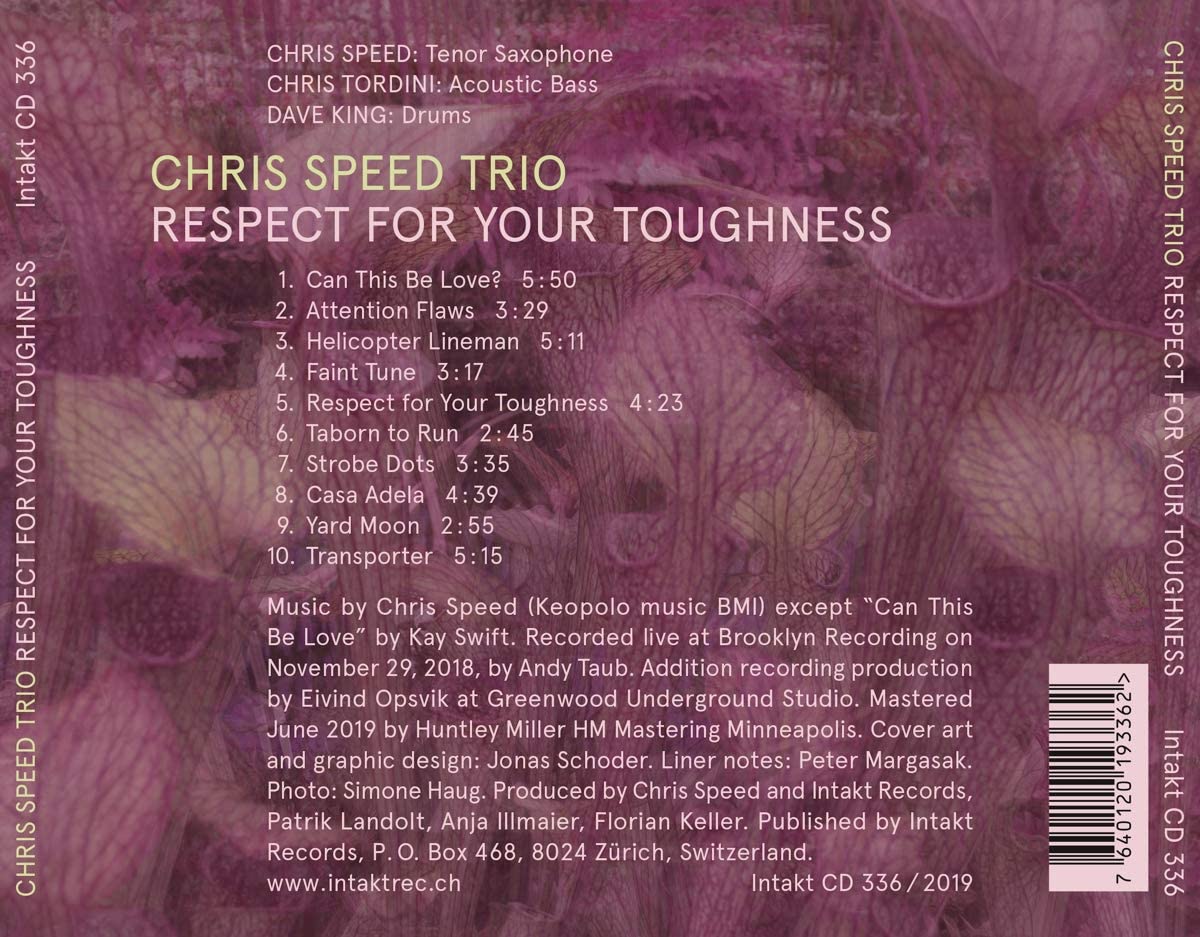 Chris Speed Trio/Tordini/King: Respect For Your Thoughness - slide-1