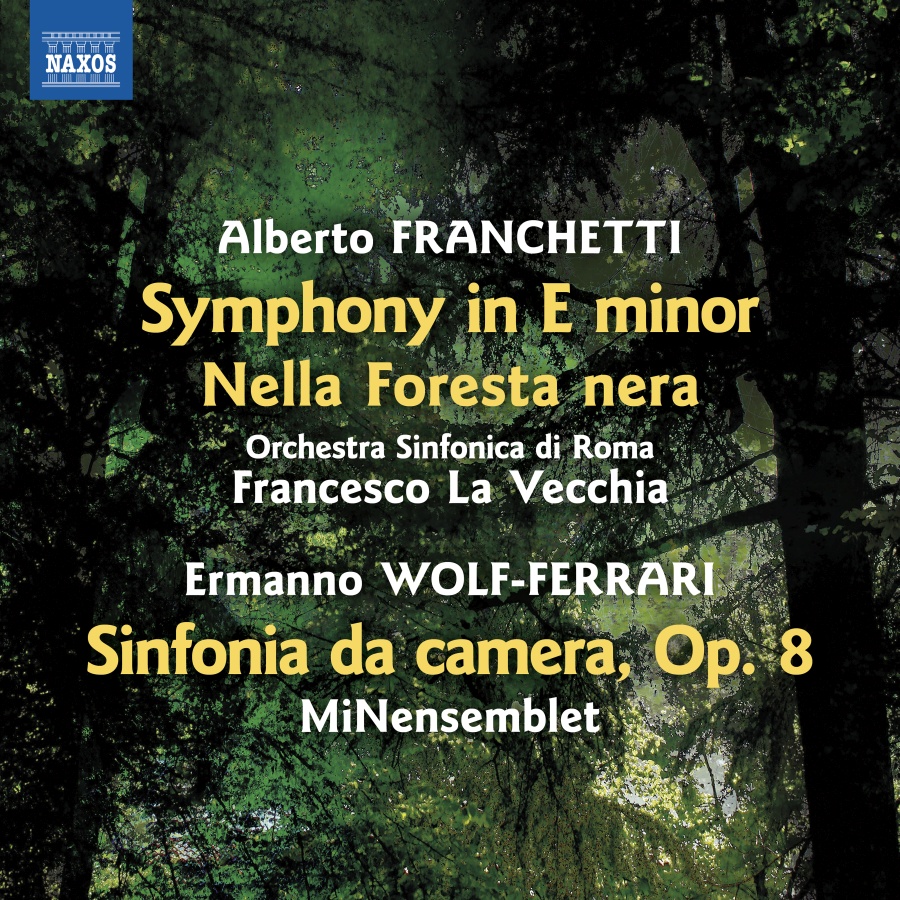 Franchetti: Symphony E minor