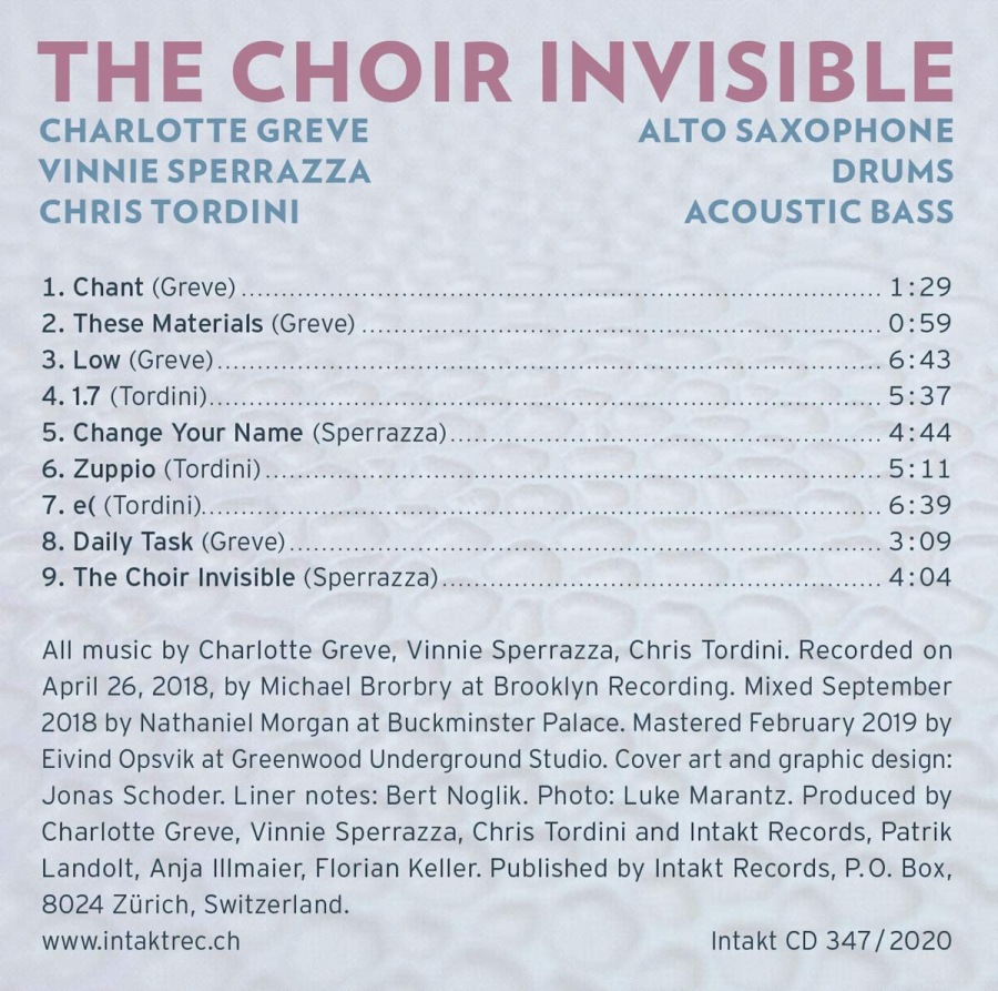 Greve/Sperrazza/Tordini: The Choir Invisible - slide-1