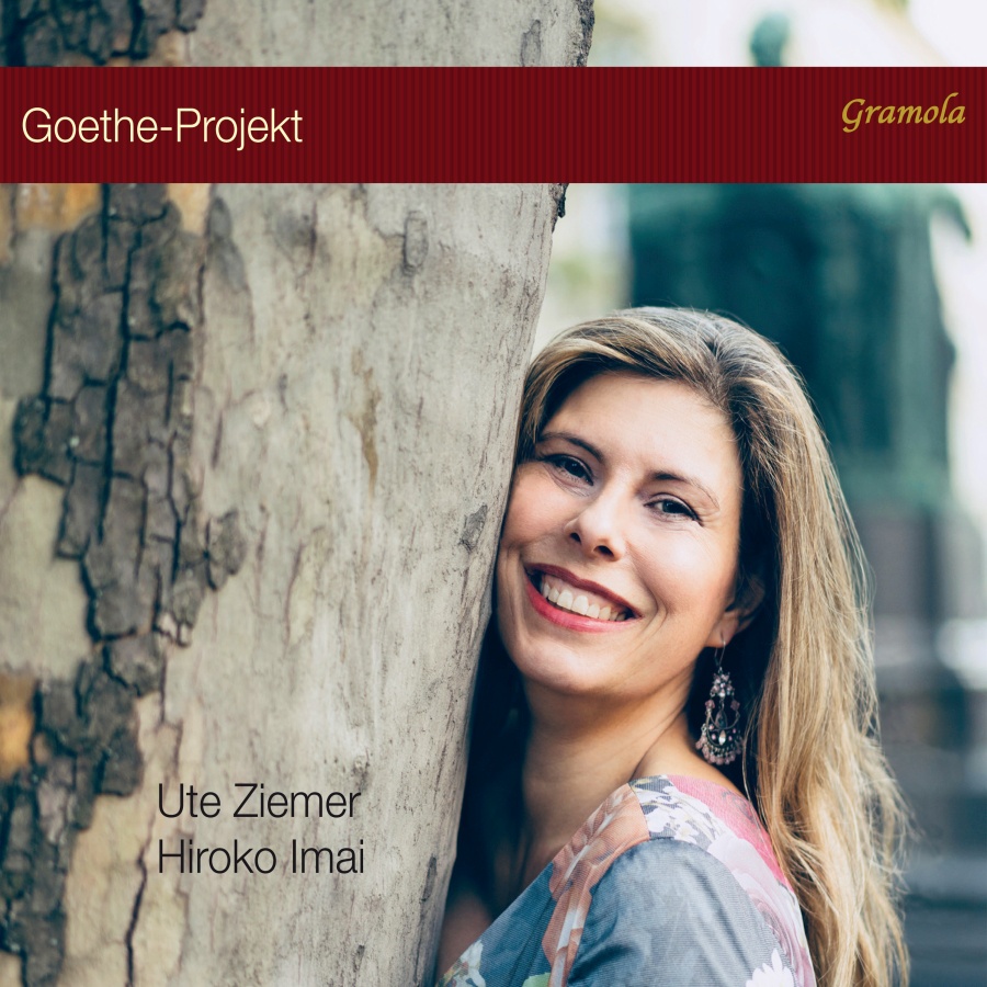 Goethe-Project