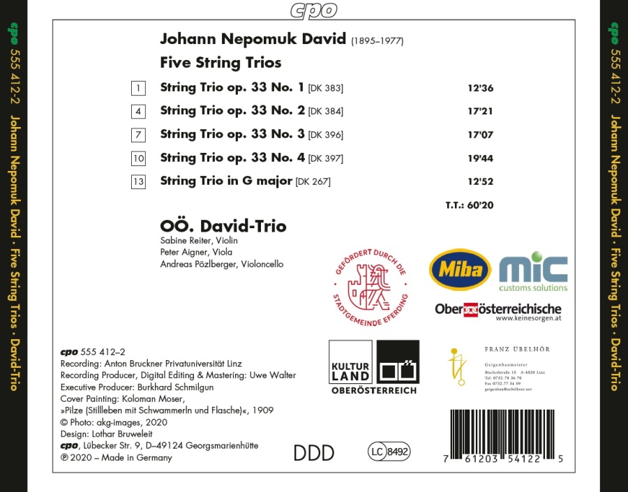 David: Five String Trios - slide-1