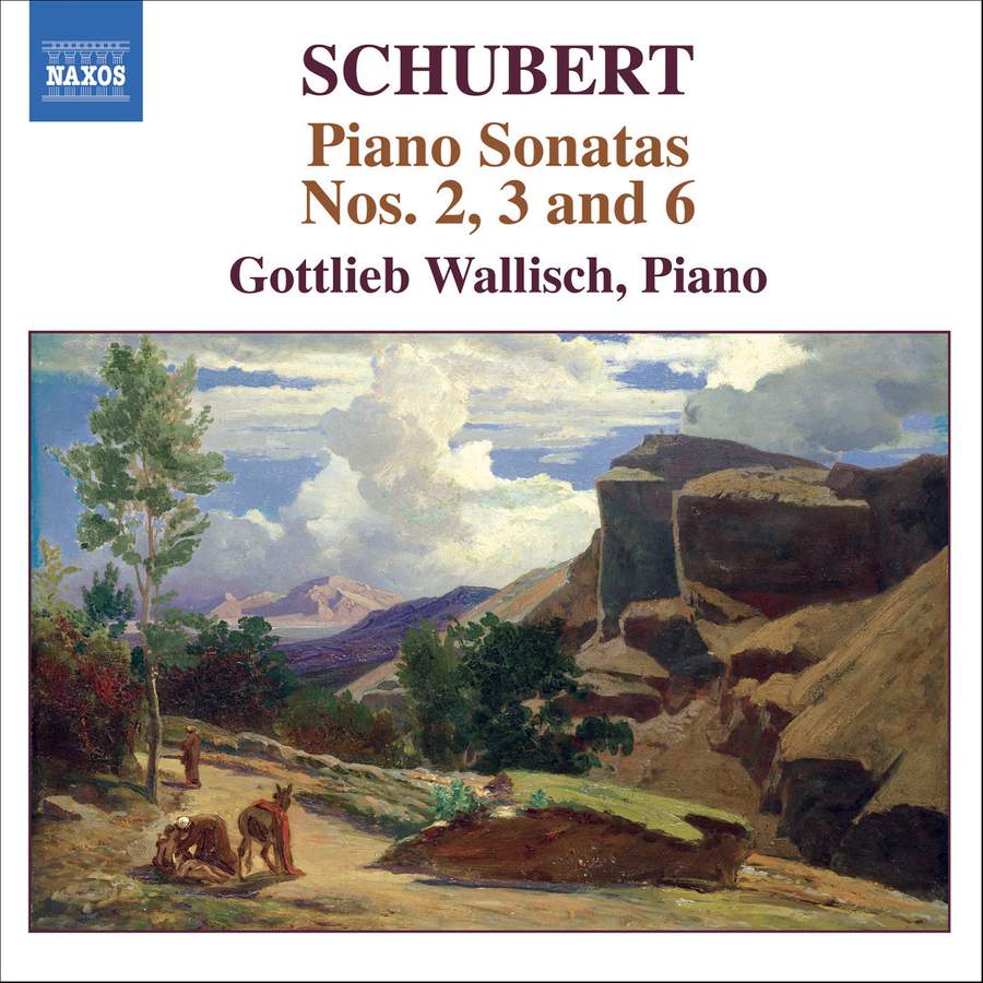 SCHUBERT: Piano Sonatas Nos. 2, 3, 6
