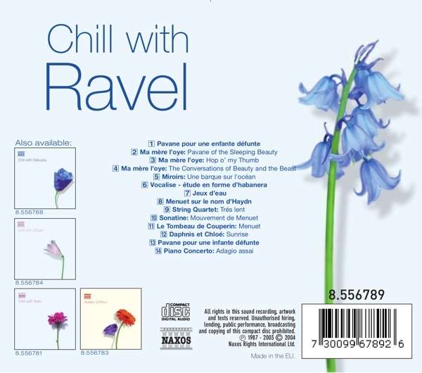 CHILL WITH RAVEL - slide-1