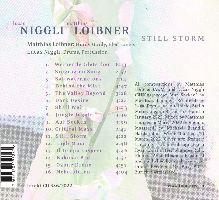 Loibner/Niggli: Still Storm - slide-1